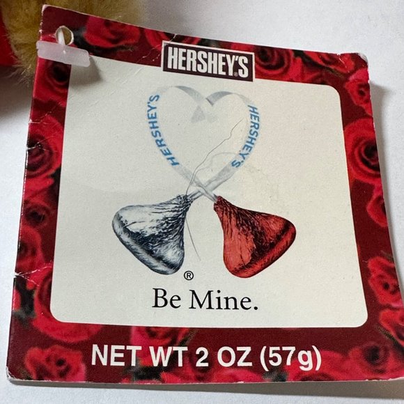 Hershey Kisses I Love Hugs6" Seated Plush Bear Chocolate Not Included - Picture 6 of 10